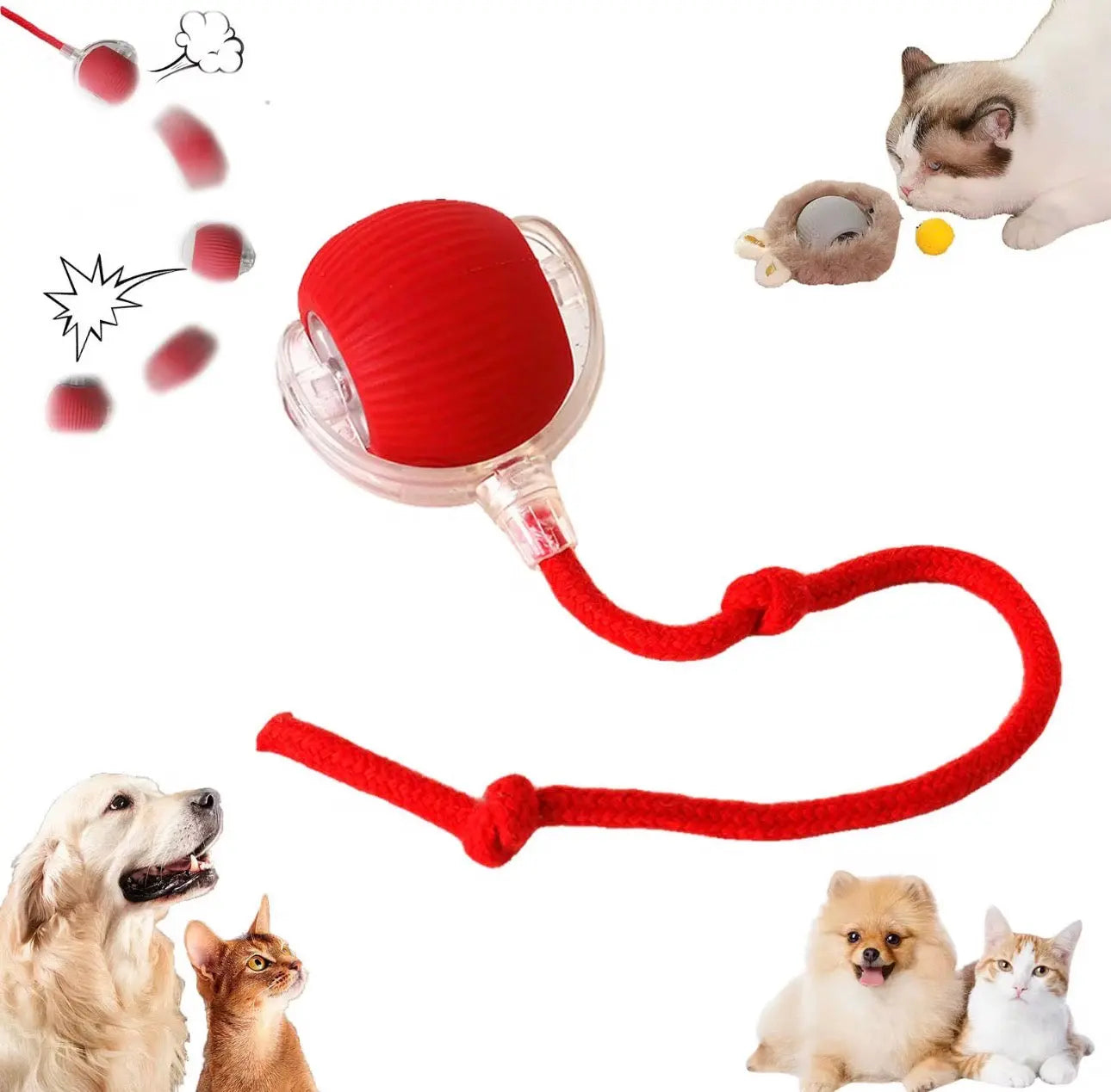 Articles de blog sur le bienfait des jeux interactifs sur la santé des chats