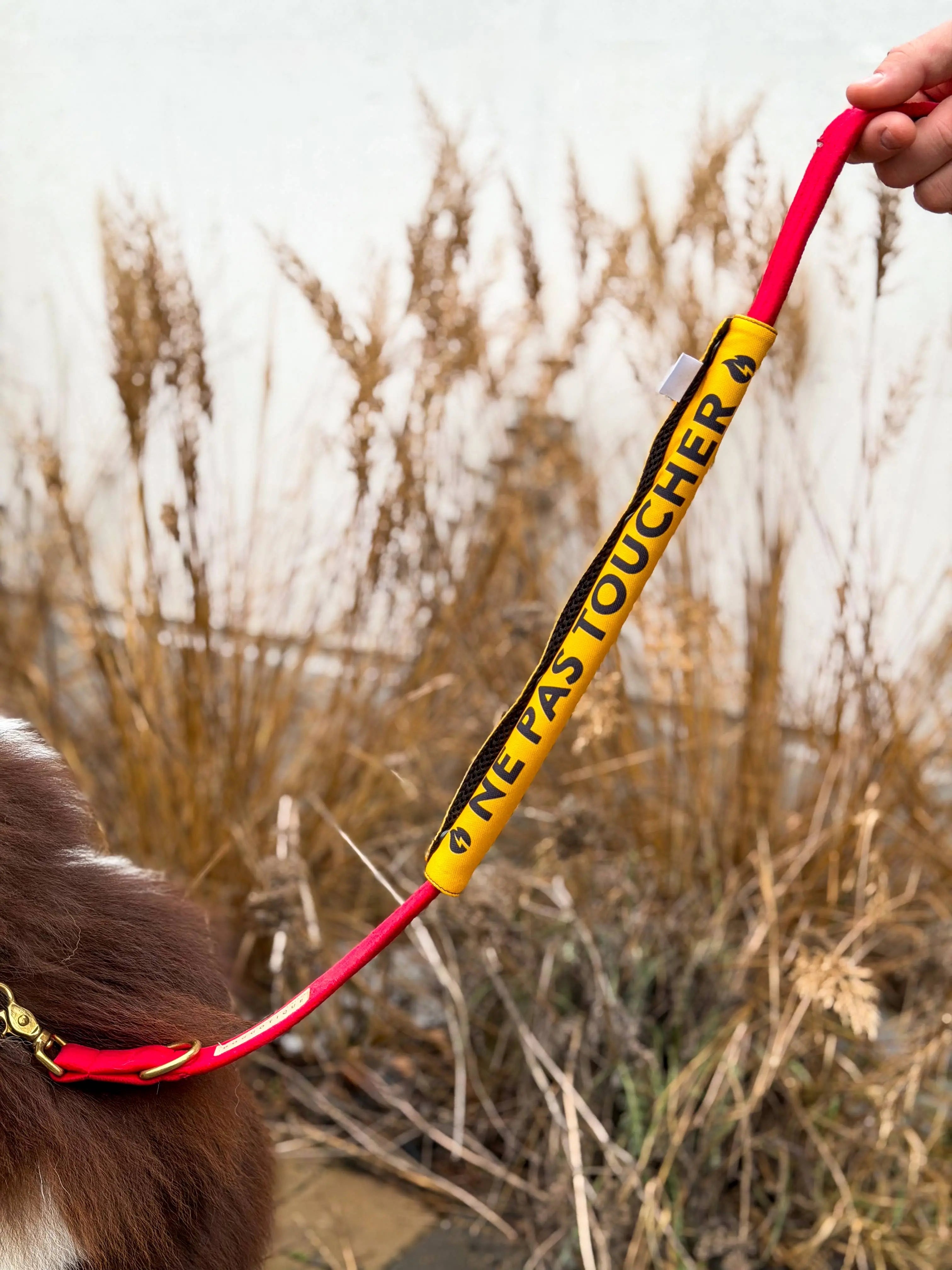 Laisse pour chien "Ne Pas Toucher", housse de laisse pour chiens Doggotique