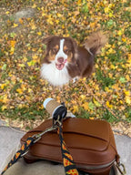 Distributeur de sacs à crottes Coffee & Go, Doggotique