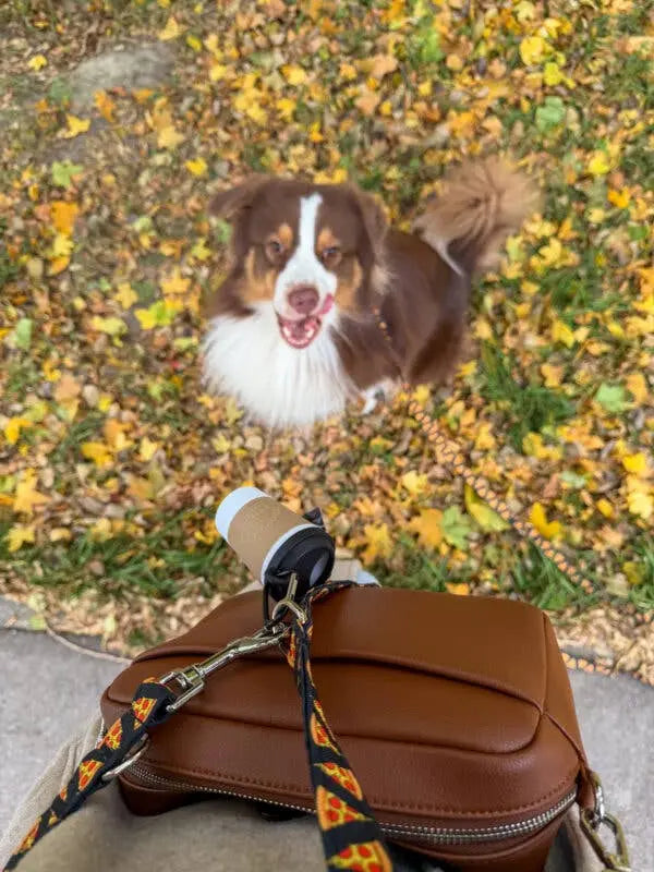 Distributeur de sacs à crottes Coffee & Go, Doggotique