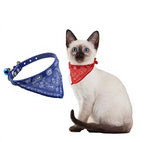 Collier Bandana Pattes d'amour