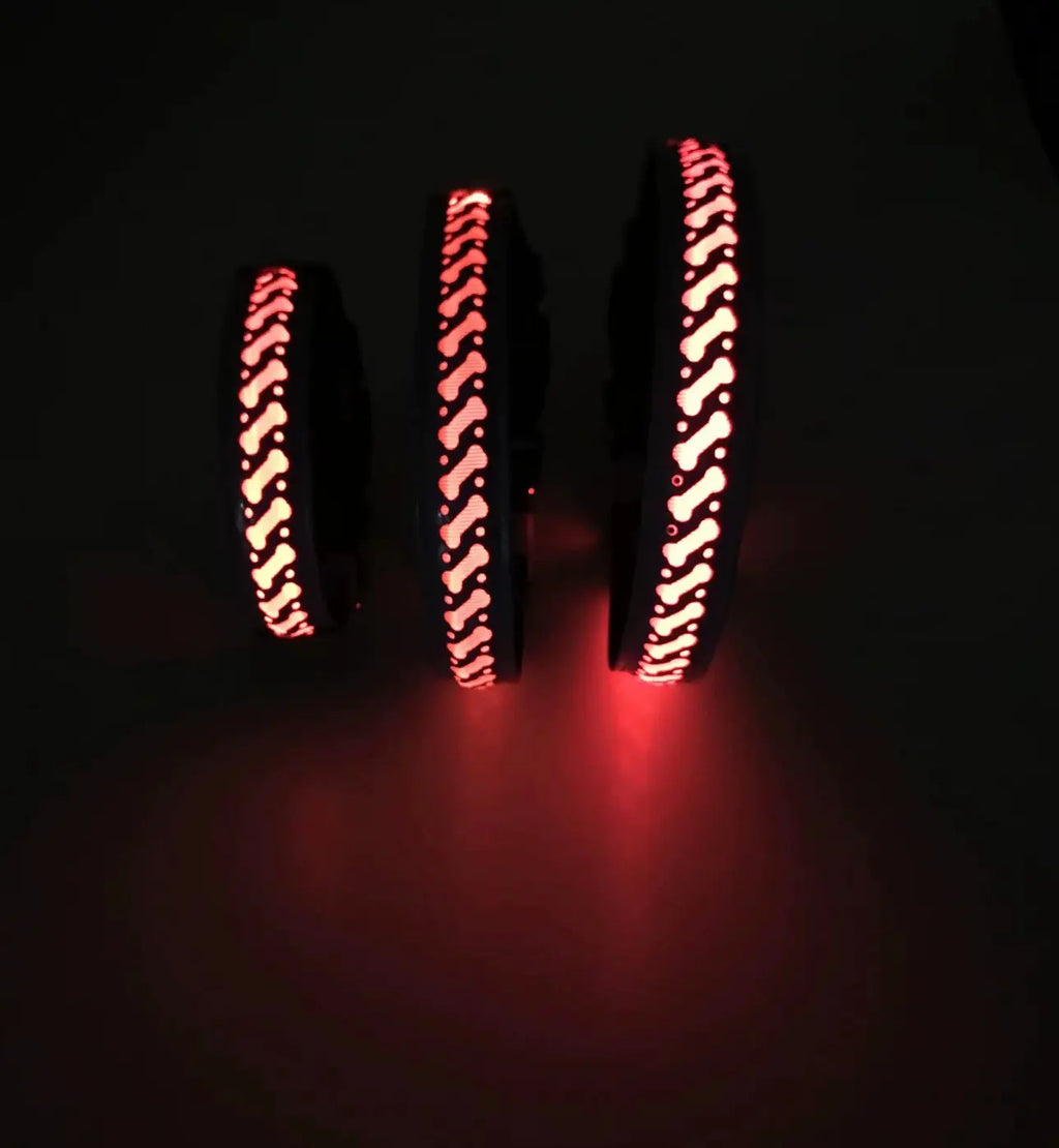 Collier lumineux Pattes d'amour
