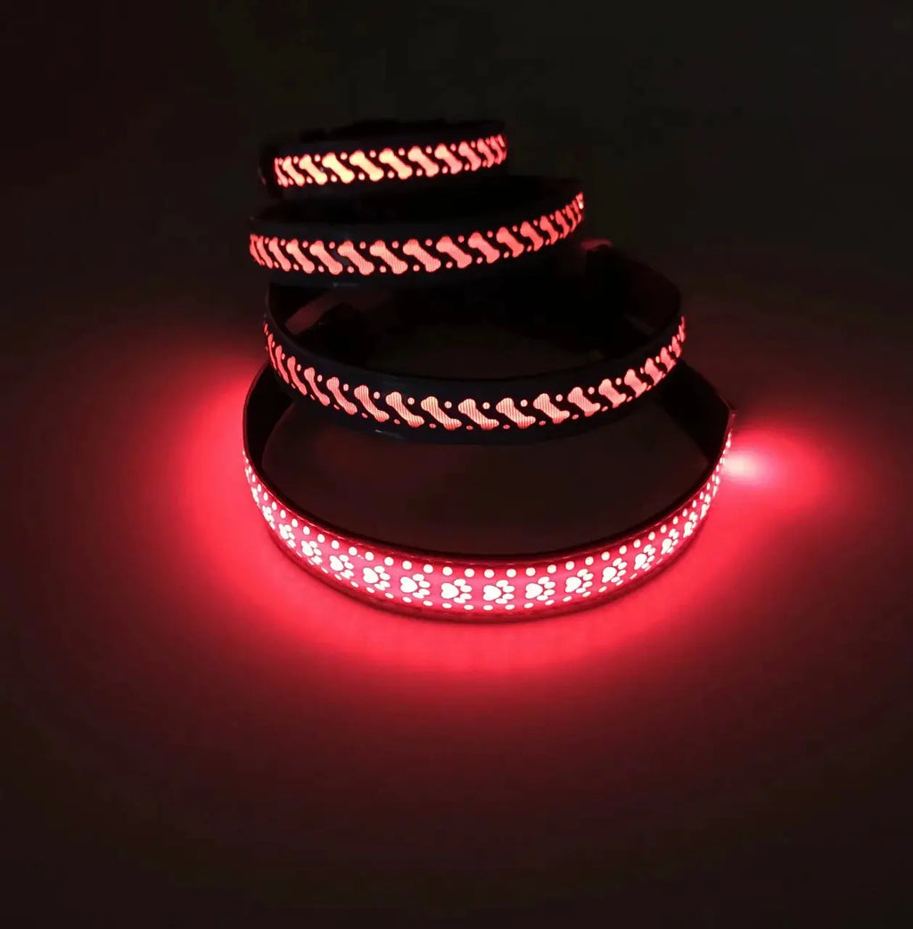 Collier lumineux Pattes d'amour