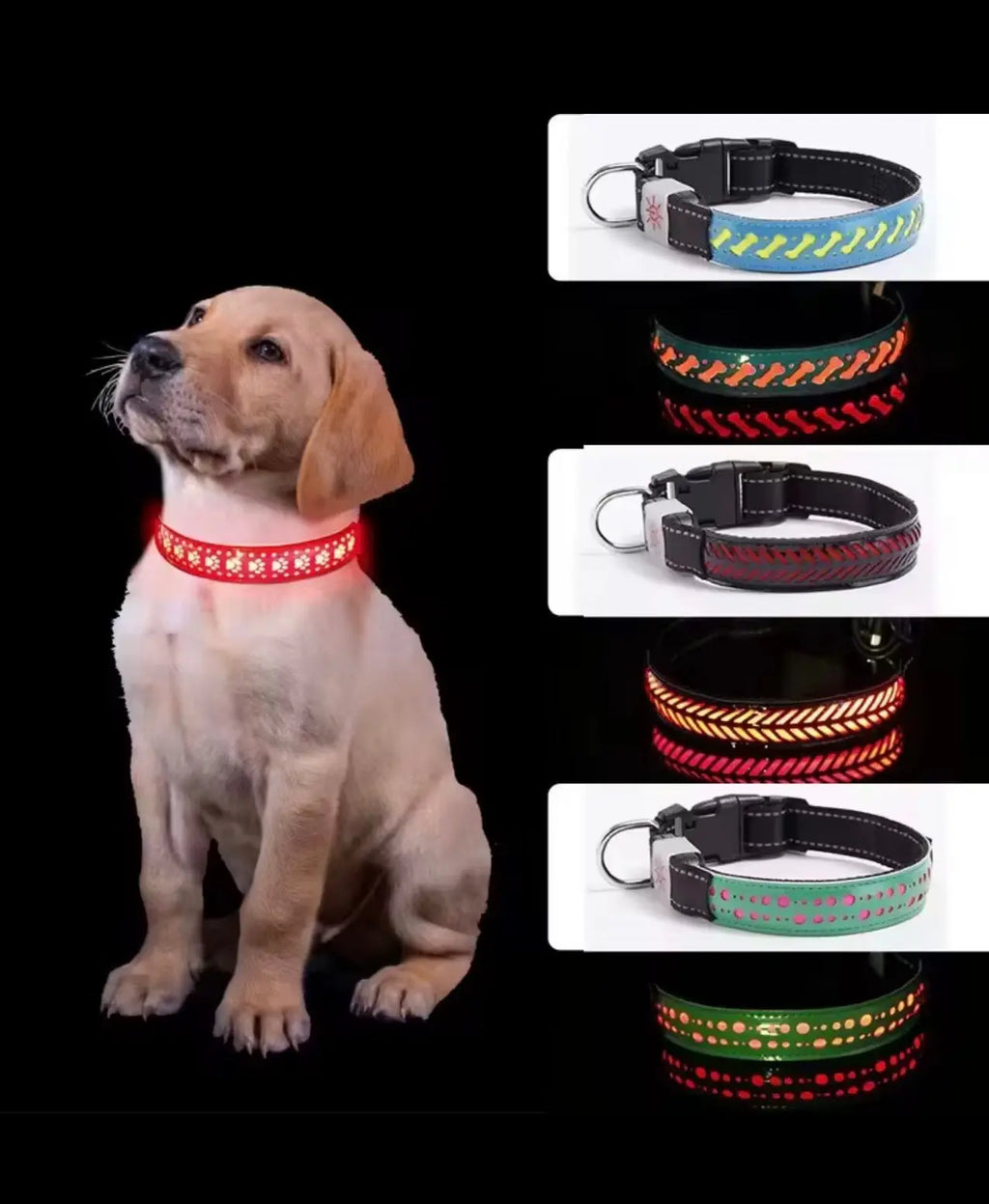 Collier lumineux Pattes d'amour