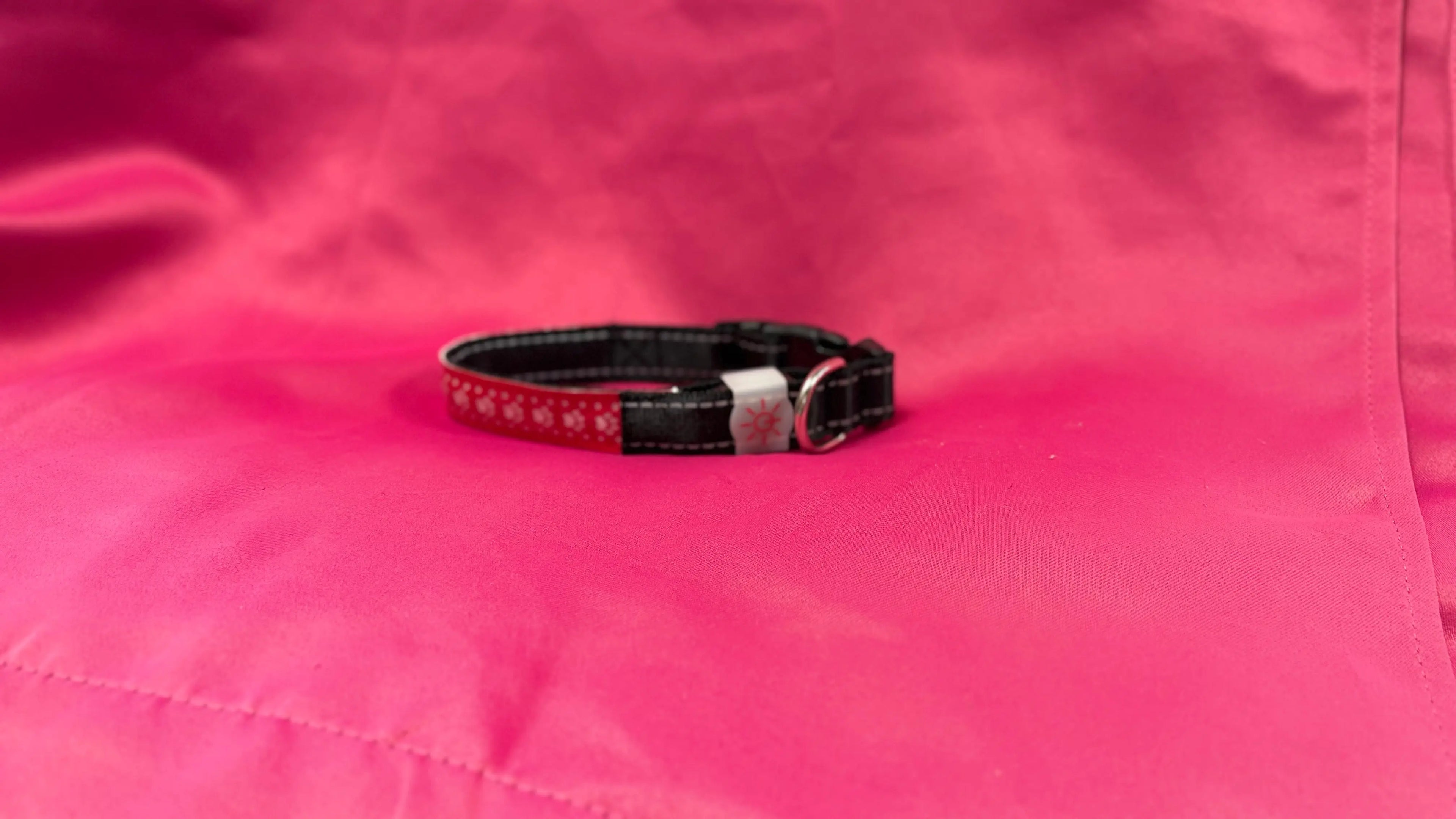 Collier lumineux Pattes d'amour