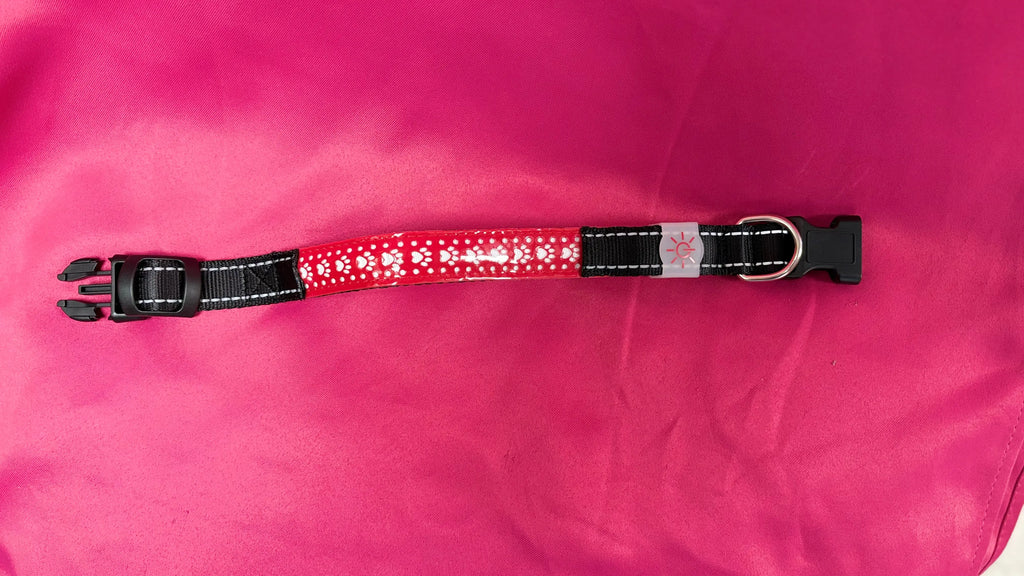 Collier lumineux Pattes d'amour