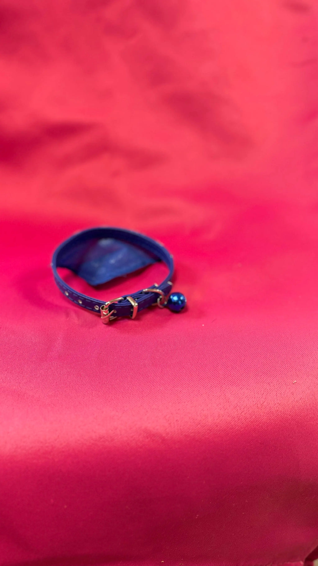 Collier Bandana Pattes d'amour