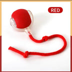 Jouet interactif Chat Pattes d'amour