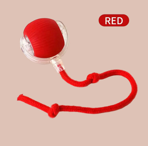 Jouet interactif Chat Pattes d'amour
