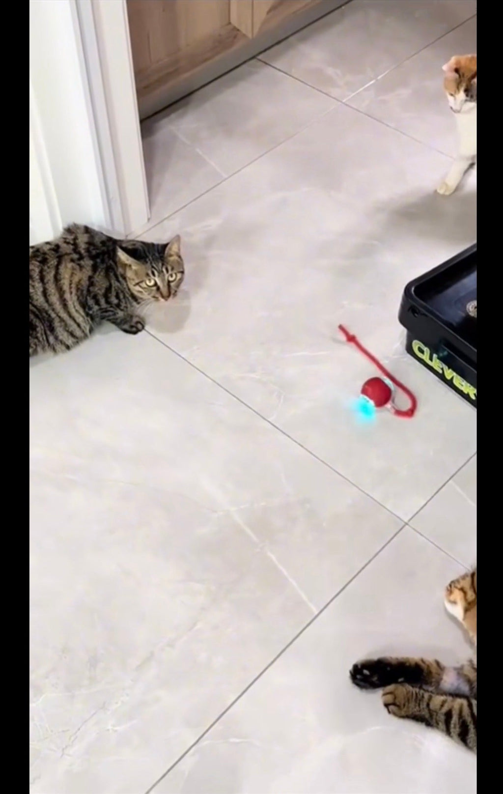 Jouet interactif Chat Pattes d'amour