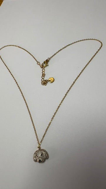 Collier caniche avec pierres en zirconium cassette barcelona