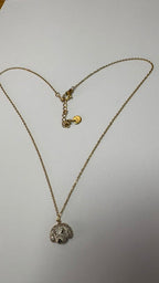 Collier caniche avec pierres en zirconium cassette barcelona