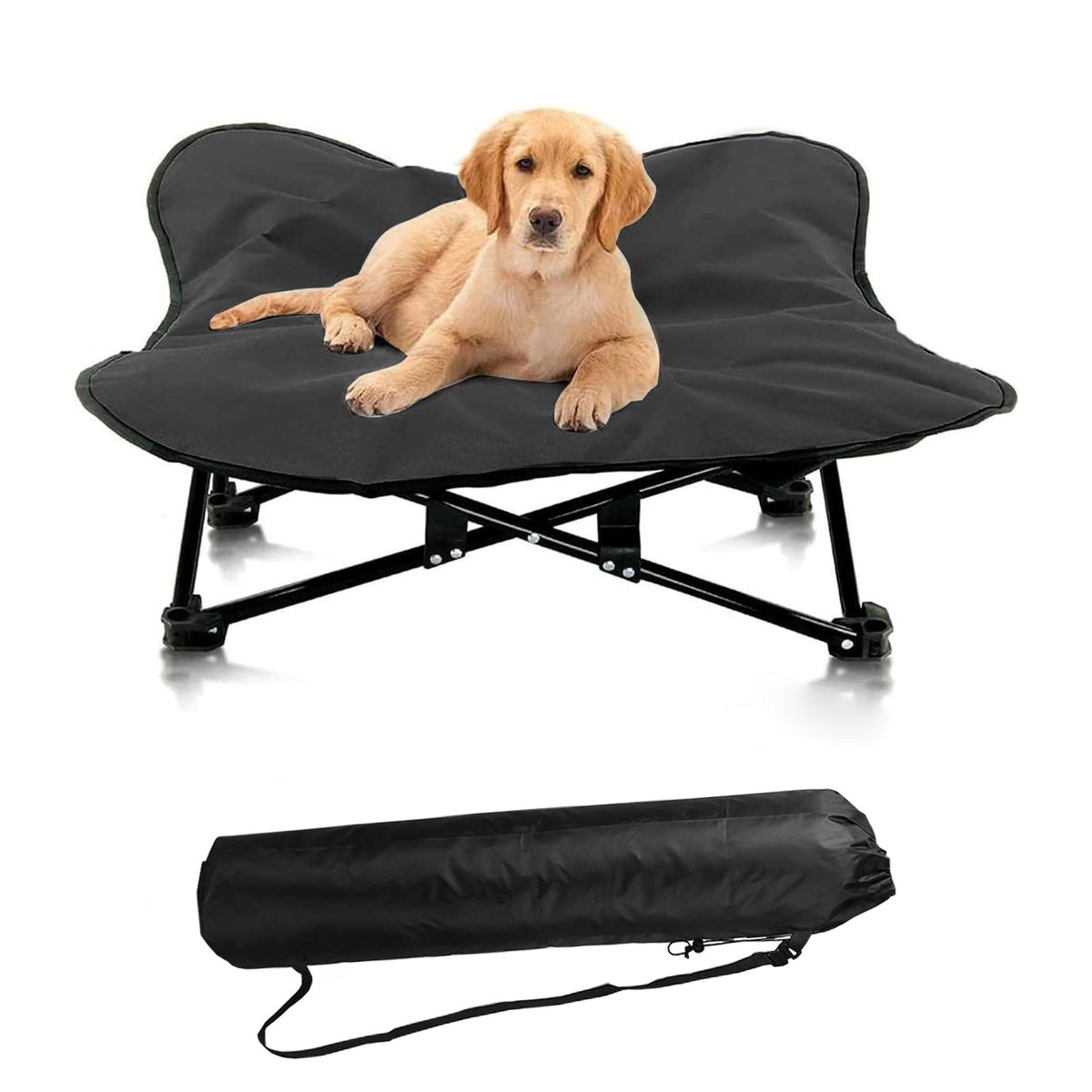 Portable Elevated Dog Bed for All Dog TM