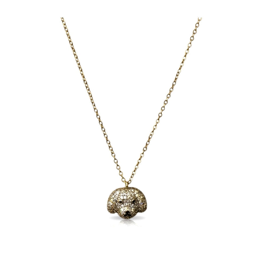 Collier caniche avec pierres en zirconium cassette barcelona