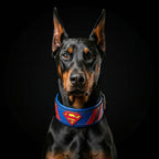 Superdog Collar BESTIA
