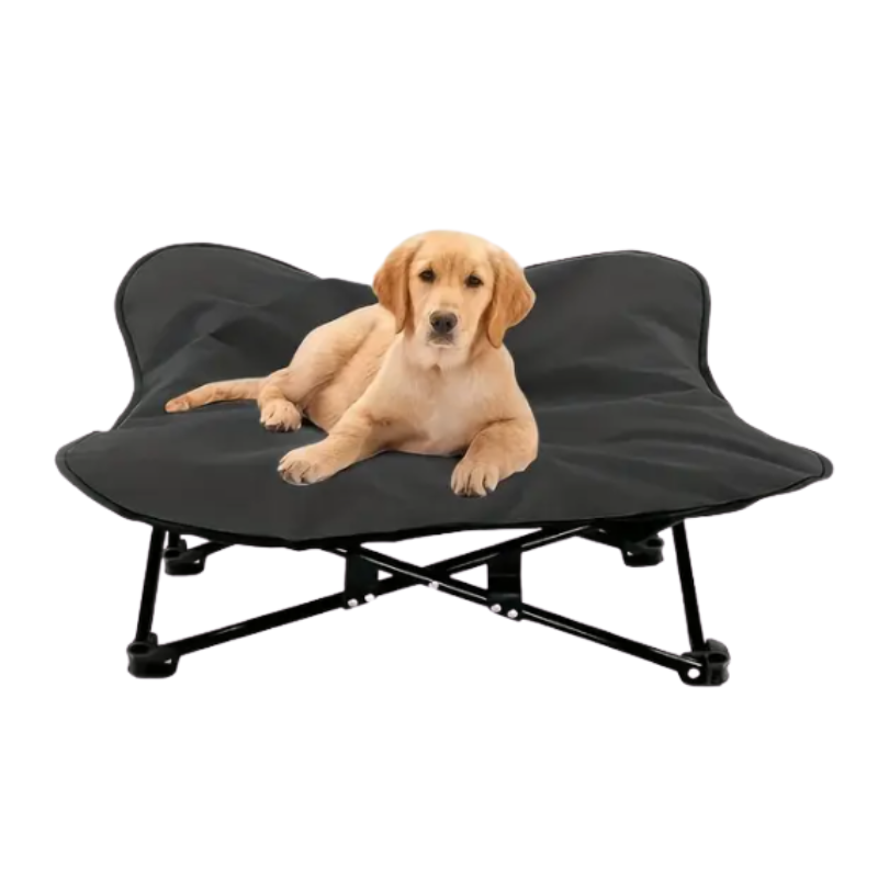 Portable Elevated Dog Bed for All Dog TM